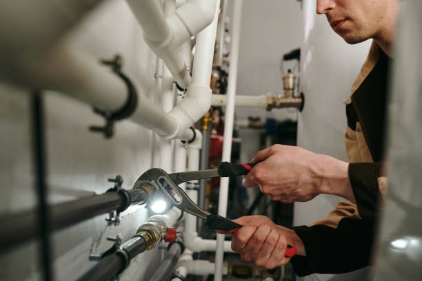 Best Local Plumber Services  in Johnson City, TN